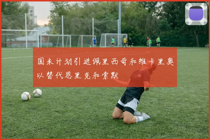 国米计划引进佩里西奇和维卡里奥以替代恩里克和索默