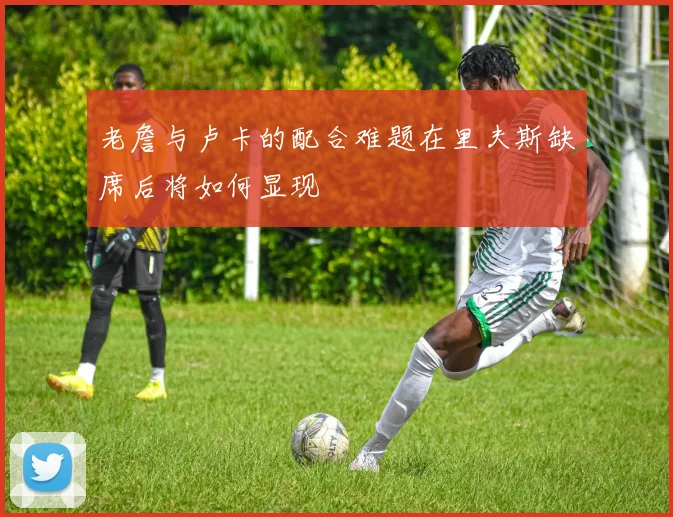 老詹与卢卡的配合难题在里夫斯缺席后将如何显现