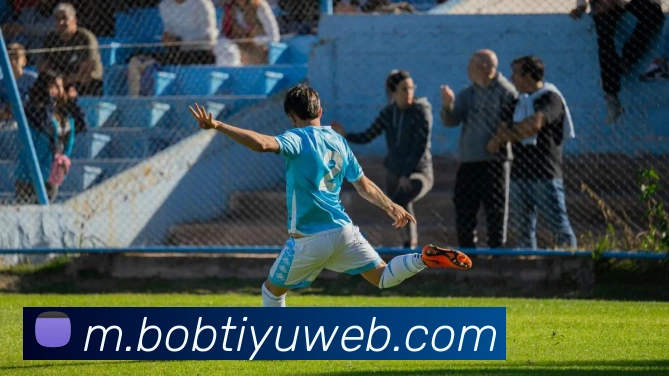 BOB体育平台生态图