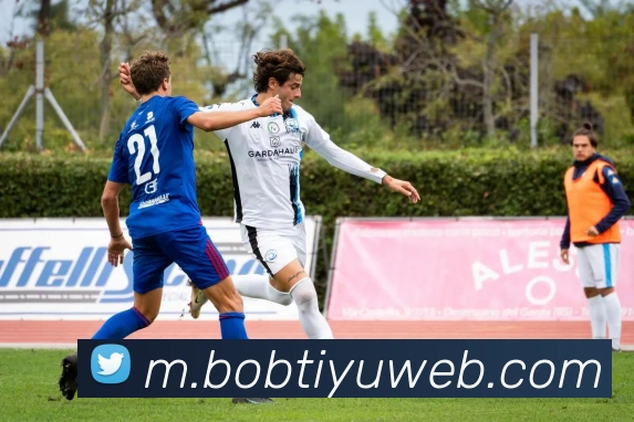 BOB体育APP 封面图